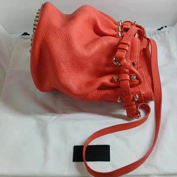 Alexander wang studded Diego bucket leather bag - Picture 16 of 16